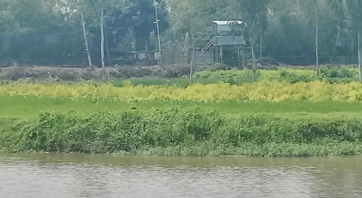 বিজিবির বাধায় সীমান্তে কাঁটাতারের বেড়া নির্মাণ বন্ধ করল বিএসএফ